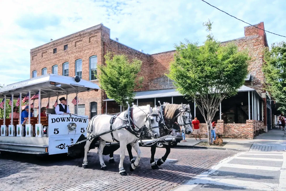 Horse-drawn carriage on a brick street in historic downtown Wilmington