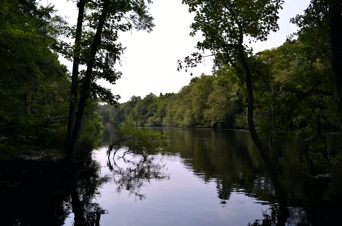 The Edisto River, one of Charleston Water System's two sources