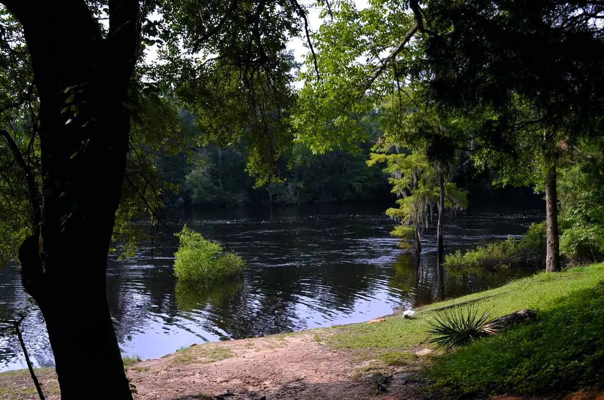 The Edisto River at Givhans Ferry State Park, Dorchester County