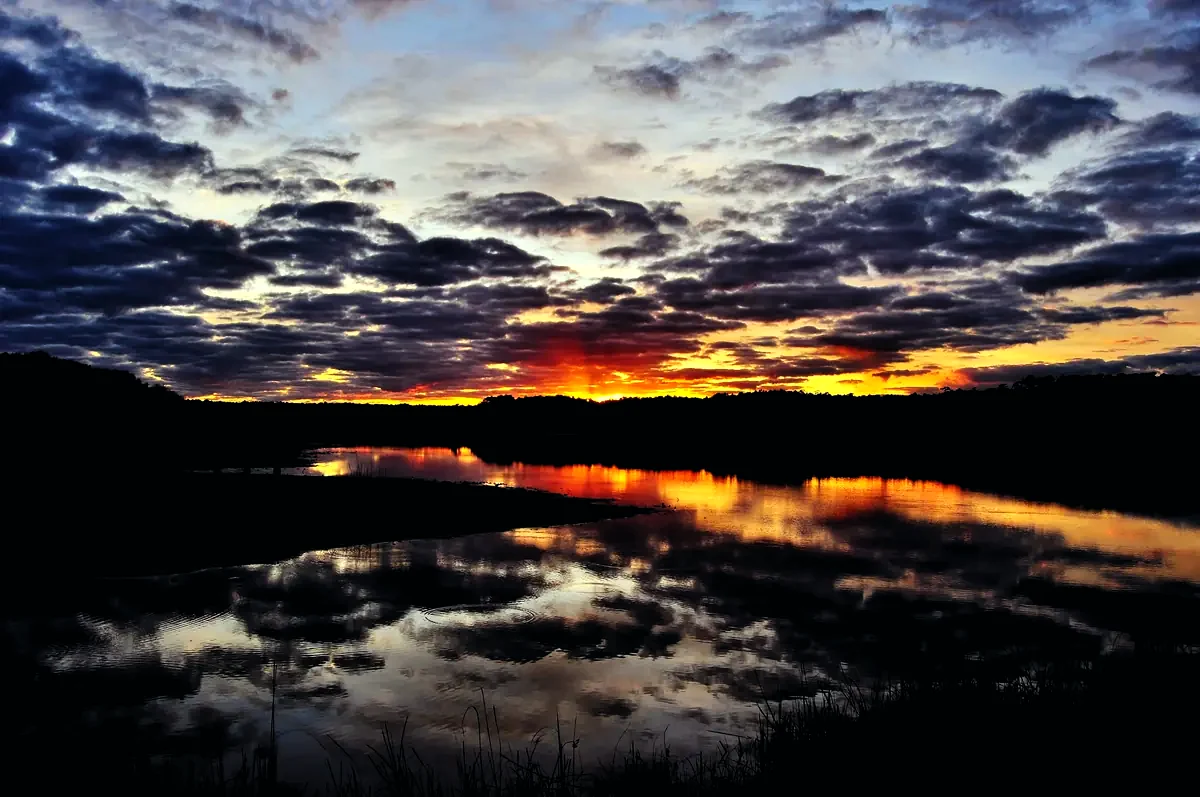 Huntington Beach State Park at sunset, Georgetown County