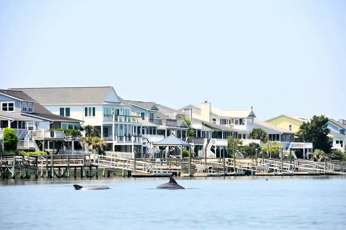 Dolphins feeding off Sunset Beach